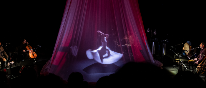 (c) Geert Vandepoele